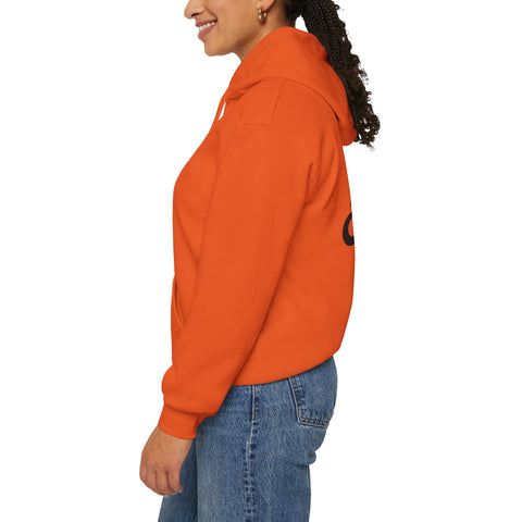 Nafisa's Hoody Sweatshirt